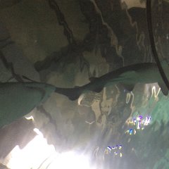 IMG 049